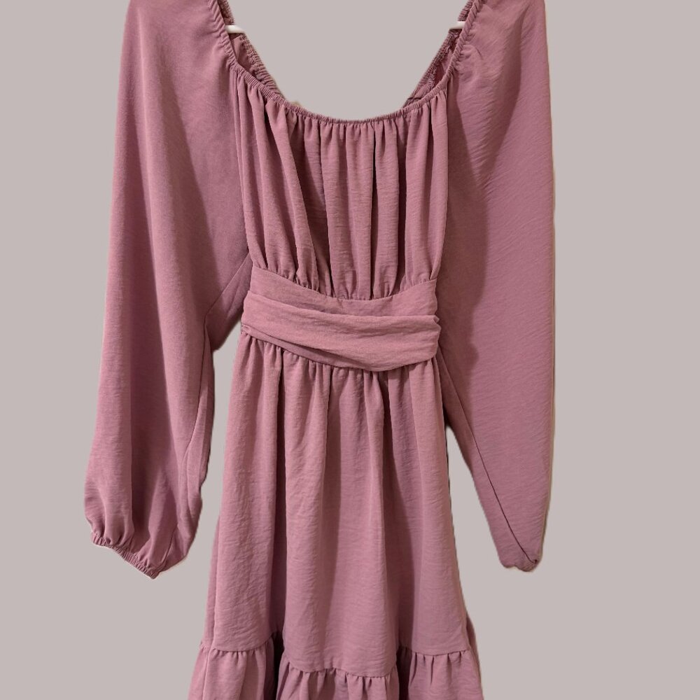 Women's Dress Long Lantern Sleeve